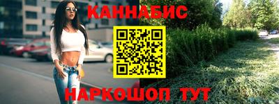 гашик Дубна