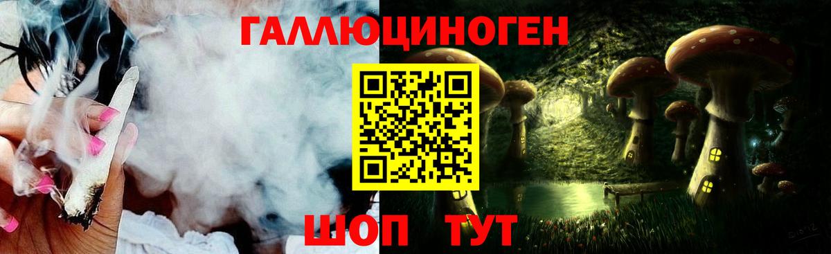 Галлюциногенные грибы Psilocybine cubensis Михайловск